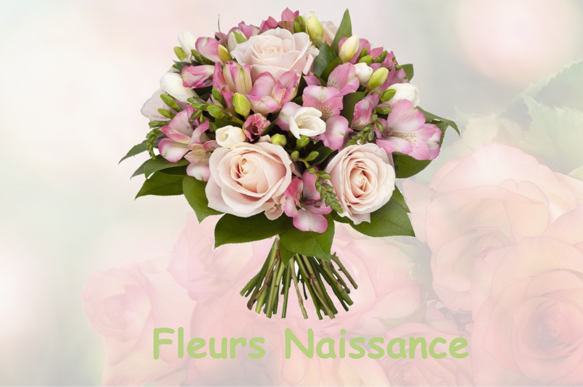 fleurs naissance SAINT-GOR