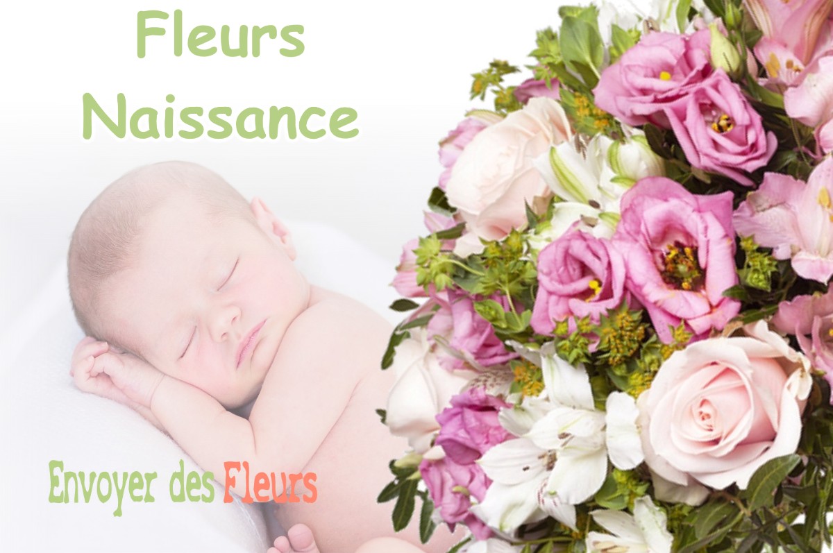 lIVRAISON FLEURS NAISSANCE à SAINT-GOR